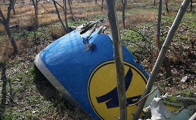 У столиці облаштують сквер пам'яті жертв катастрофи літака МАУ