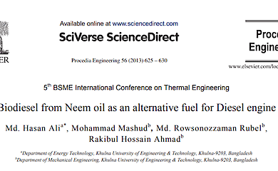 Биотопливо из дерева ним можно использовать в дизельных двигателях