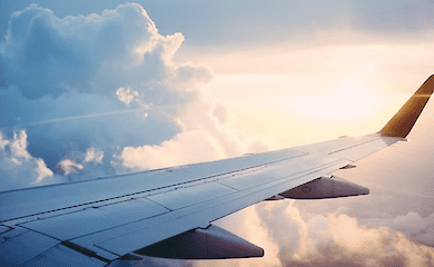 В Україні з'явилася нова авіакомпанія під назвою Bees Airline