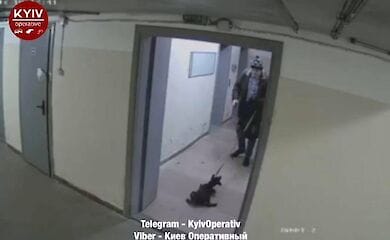 У Києві чоловік знущався над собакою