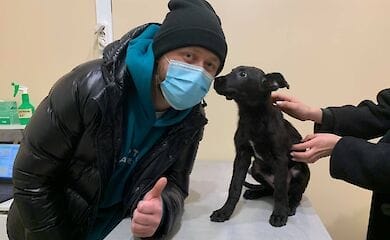 Cтала известна судьба щенка, которого избил в Киеве хозяин и выбросил на мороз