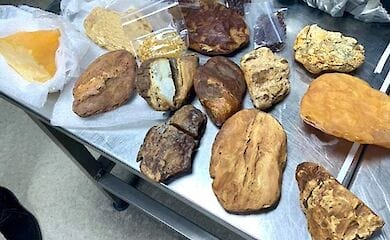 З України намагалися вивезти унікальний бурштин