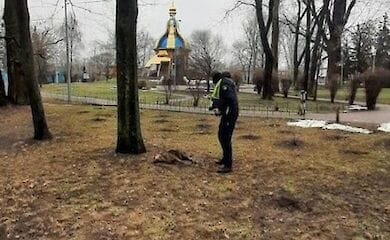 Гибель собак в Гидропарке: что известно