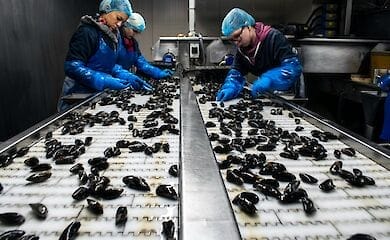 Китайці більше не поспішають працювати на великих підприємствах