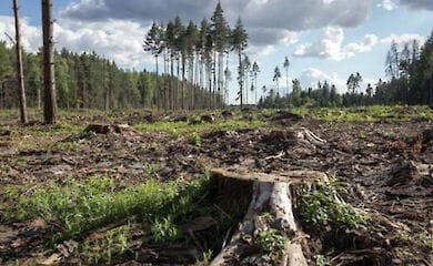 Штрафи за заподіяння шкоди екології виростуть в 10 разів