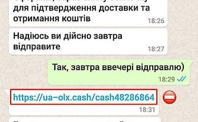 За рік інтернет-шахраї вкрали 252 мільйони гривень в українців: експерти назвали головні методи злочинців