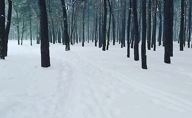 12-14 февраля в Украину придут морозы до - 23°, - сообщает Укргидрометцентр