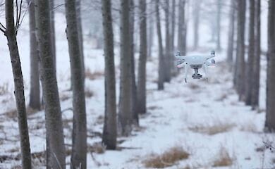 Борьба с черными лесорубами в Украине дала мощный эффект