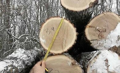 Чоловіки завдали шкоди екології на велику суму