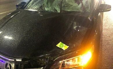 У Києві поблизу станції метро «Видубичі» сталася смертельна ДТП