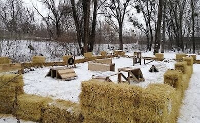 Жители дома самостоятельно создали площадку для выгула собак