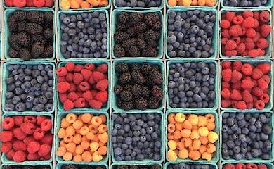 В 2020 году объем торголи аграрной продукцией между Украиной и Евросоюзом составил 10,2 миллиарда долларов