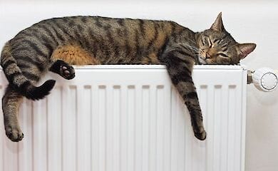 Киянам розповіли, що робити з боргами