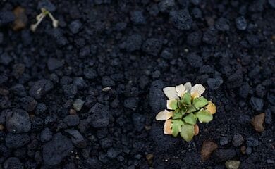 Последняя угольная электростанция в Венгрии будет остановлена в 2025 году