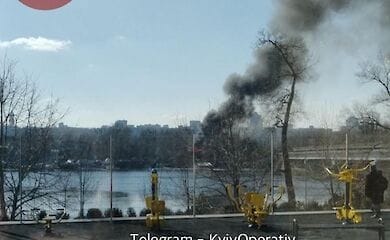 В Киеве в Гидропарке пожар