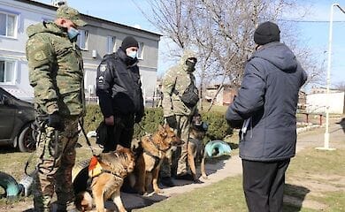 Згвалтована і убита: що сталося з дівчинкою, яку шукало все село