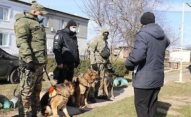 Убийство и изнасилование 7-летней девочки в Херсонской области: задержанный признался