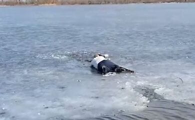 В Киеве мужчина спас жизнь девушке, которая провалилась под лед