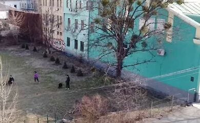 На Подоле появился большой парк для выгула собак