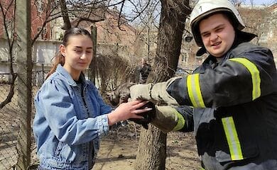 В Кропивницком пожарные спасли кота
