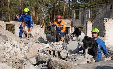 Як працюють собаки-рятувальники в Україні