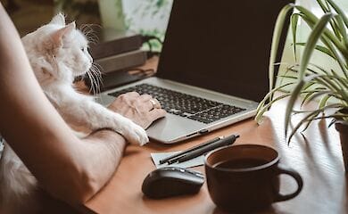 8 порад для облаштування домашнього офісу