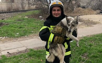Рятувальники витягли з колодязя собаку