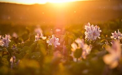 В Україні різко підніметься темература повітря
