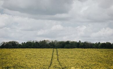 Какие участки не подлежат налогообложению в Украине