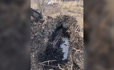 Канадский город лишился связи и ТВ из-за бобров