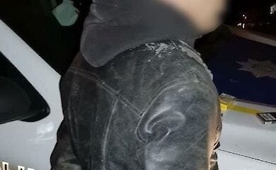 У Києві поліція зловила чоловіка, який намагався вкрасти паркан