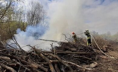 В Киеве в Голосеевском районе загорелся мусор