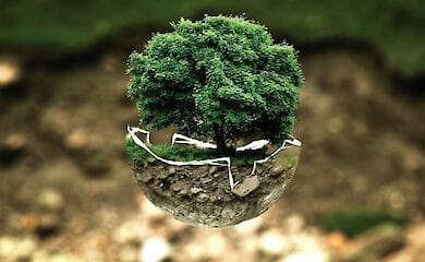 На Киевщине нанесли урон экологии на огромную сумму