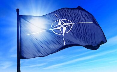 Украинская власть уже выбрала представителя страны в НАТО