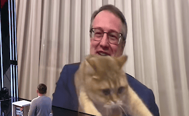 Кот Антона Геращенка взяв участь у ток-шоу