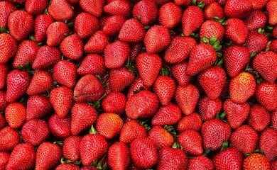 Где в Киеве пройдут продуктовые ярмарки
