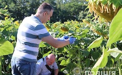 В Черниговской области мужчину, который зарезал 7-летнего сына, будут лечить