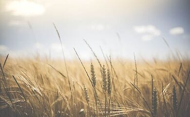 Геопортал открытых данных насчитывает около 1000 сведений