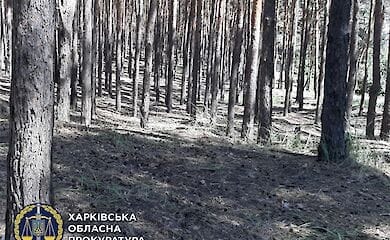 Изнасилование в лесу в Харьковской области: мужчину признали виновным