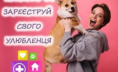 В Києві на Лівому березі вакцинуватимуть тварин безкоштовно