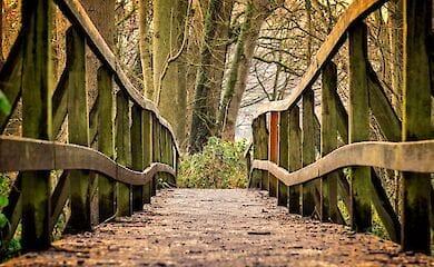 Где в Киеве появятся новые парки