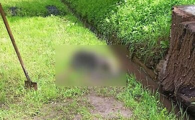 У Полтаві в каналізації виявили тіло чоловіка