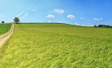 Юристы рассказали, как будет проходить продажа земли.