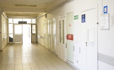 Объявившая о рождении десятерых детей женщина находится в психлечебнице