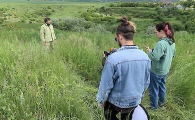 Respublica FEST та Territory ngo презентують першу ластівку проєкту &laquo;Культура on/off. Цифрові мости&raquo;