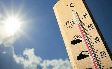 Жара в Канаде унесла жизни почти пятисот человек