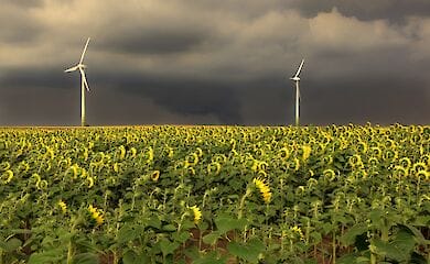 В Україні не вщухають дощі та грози