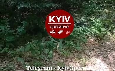 Девушку, пропавшую в парке Партизанской славы, нашли мертвой - соцсети