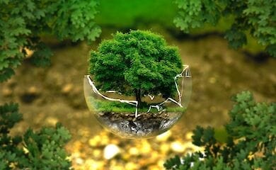 10 простых способов помочь окружающей среде