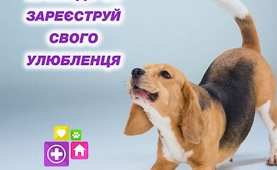 У столиці безкоштовно провакцинують собак.